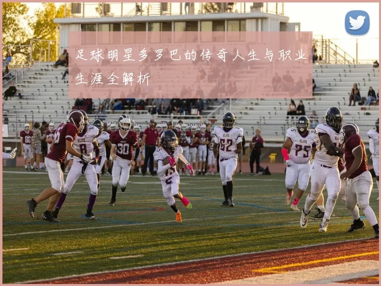 足球明星多罗巴的传奇人生与职业生涯全解析
