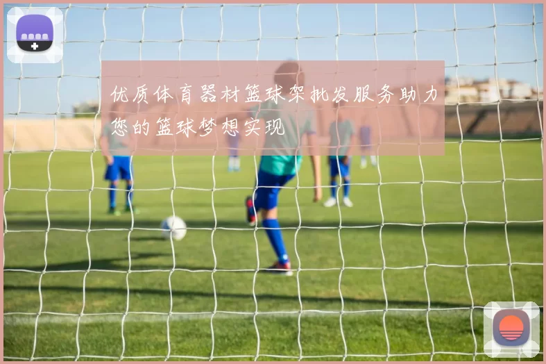 优质体育器材篮球架批发服务助力您的篮球梦想实现