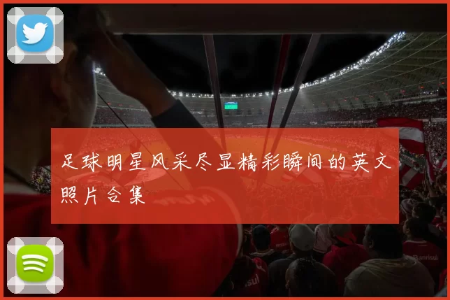 足球明星风采尽显精彩瞬间的英文照片合集