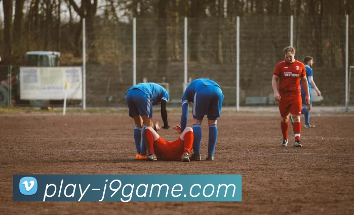 多媒体互动体验